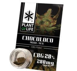 Polen CBG 28% Chocoloco