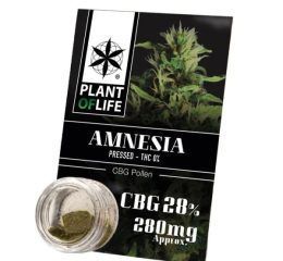 Polen CBG 28% Amnesia