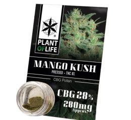 Polen CBG 28% Mango Kush