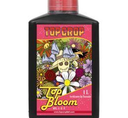 Top Bloom