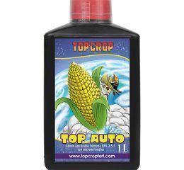 Top Auto