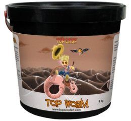 Top Worm