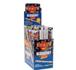 Cones Blueberry 2 ud