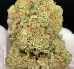 AMNESIA HAZE