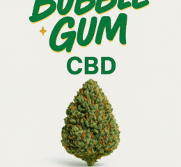 BUBBLEGUM